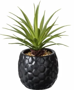 CASA BAZAAR Vaso Da Fiori Naturale| Vasi Decorativi|Vasi Di Fiori
