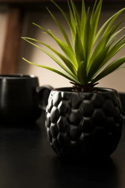CASA BAZAAR Vaso Da Fiori Naturale| Vasi Decorativi|Vasi Di Fiori