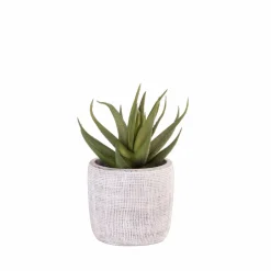 CASA BAZAAR Vaso Da Fiori Naturale| Vasi Decorativi|Vasi Di Fiori