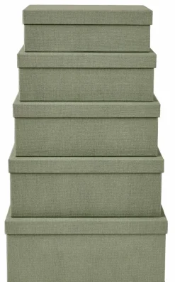 CASA BIGSO Portaogg Cassetto 5 Parti Menta| Cesti Cassetto