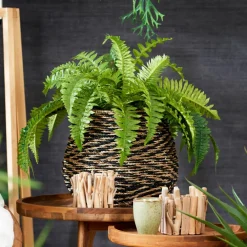 CASA BRONZE Vaso Per Piante Bronzo| Vasi Di Fiori