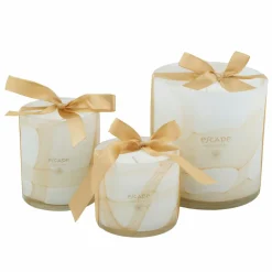 CASA ESCAPE SENSES Cand. Prof. In Vaso Multicolore| Candele Profumate|Candele