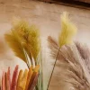 CASA GRASS Pennacchio Di Canna Verde| Rami Artificiali