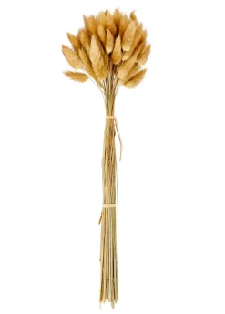 CASA LAGURUS Piumino Naturale| Fiori Artificiali
