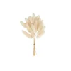 CASA MINA Deco Essiccata Bianco| Fiori Artificiali