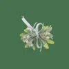 CASA MISTLE Decorazione Sospesa Verde| Decorazione Da Appendere