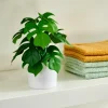 CASA MONSTERA Pianta Vari Colori| Piante Artificiali
