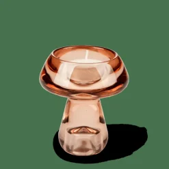 CASA MUSHROOM Portalumini Marrone| Portalumini|Autunno