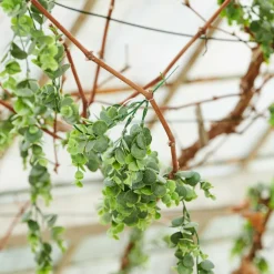 CASA PAMPAS Fili D'erba Grigio| Fiori Artificiali