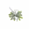 CASA PIM Filo Luminoso 25 Luci Led Verde| Fili Luminosi