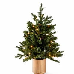 CASA PIM Filo Luminoso 25 Luci Led Verde| Fili Luminosi