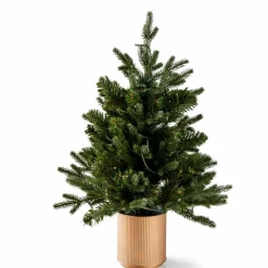 CASA PIM Filo Luminoso 25 Luci Led Verde| Fili Luminosi