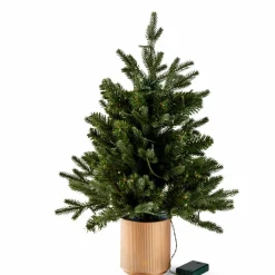 CASA PIM Filo Luminoso 25 Luci Led Verde| Fili Luminosi