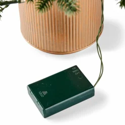 CASA PIM Filo Luminoso 25 Luci Led Verde| Fili Luminosi