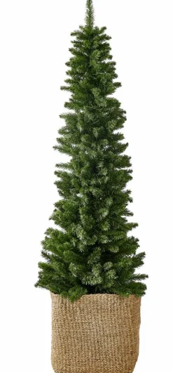 CASA PIM Filo Luminoso 25 Luci Led Verde| Fili Luminosi