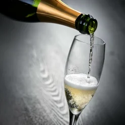 CASA PREMIUM Flûte 26 CL| Calice Spumante