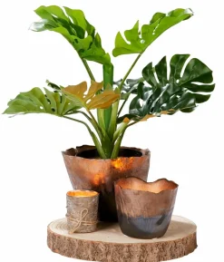 CASA PURE RUSTIC Candela Bianco| Candele