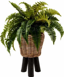 CASA TEAK Supporto Naturale| Supporti Per Piante